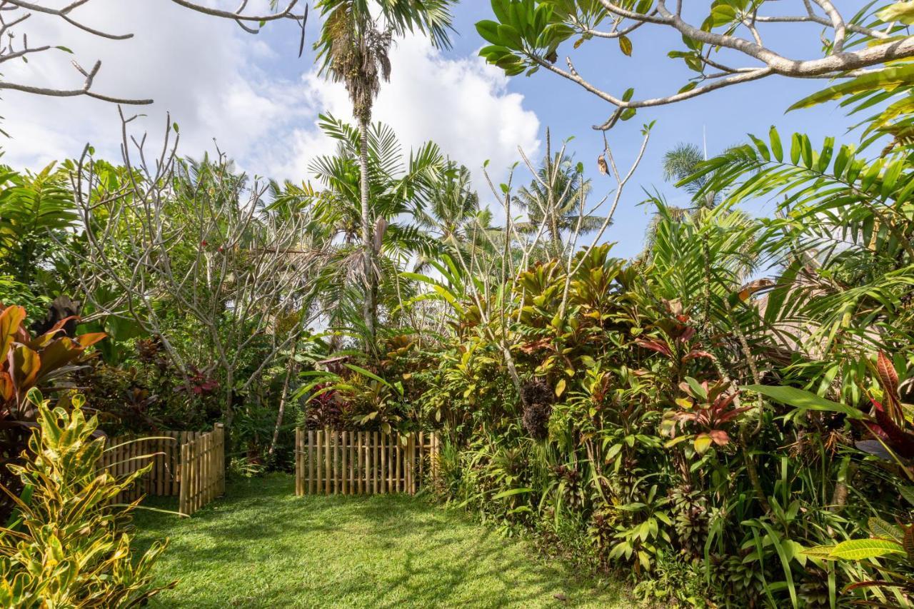 Bali Firefly Bnb Ubud Buitenkant foto