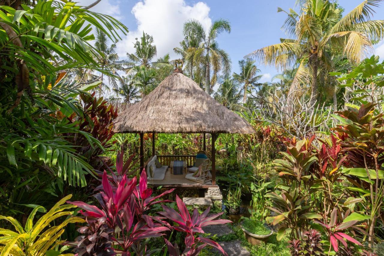 Bali Firefly Bnb Ubud Buitenkant foto