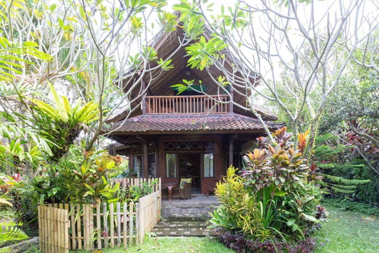 Bali Firefly Bnb Ubud Buitenkant foto