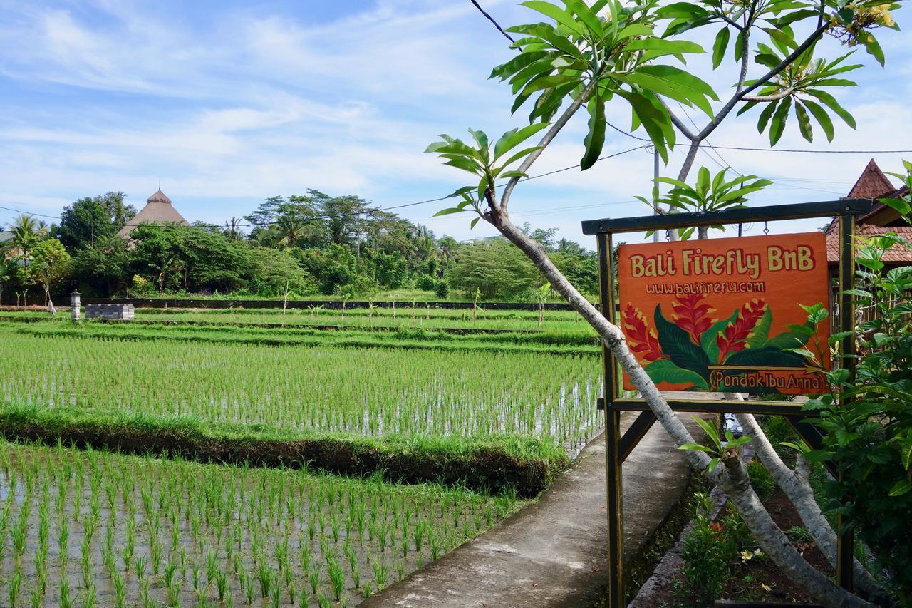Bali Firefly Bnb Ubud Buitenkant foto