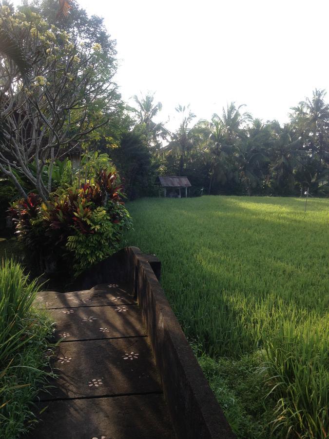 Bali Firefly Bnb Ubud Buitenkant foto