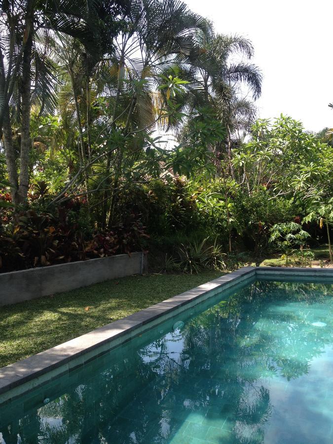 Bali Firefly Bnb Ubud Buitenkant foto